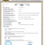 Tse 13298 Belgesi
